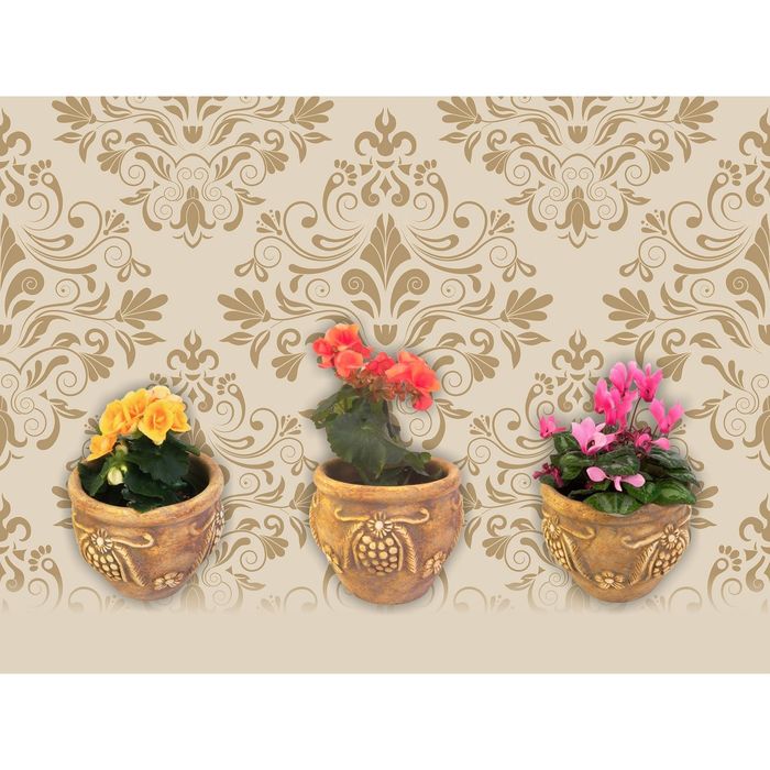 Стеклянный фартук закаленное стекло М1 "Цветы в горшках", 600х800х4