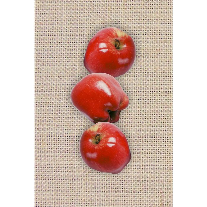 Стеклянный фартук закаленное стекло М1 "Красные яблоки", 600х400х4