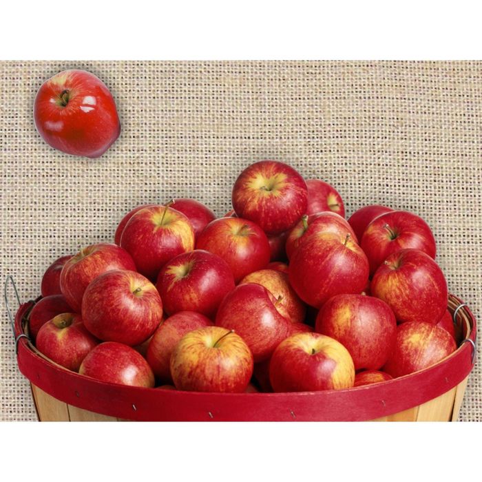 Стеклянный фартук закаленное стекло М1 "Красные яблоки", 600х800х4