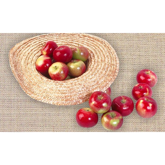 Стеклянный фартук закаленное стекло М1 "Красные яблоки", 600х1000х4