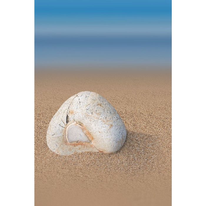 Стеклянный фартук закаленное стекло М1 "Ракушка", 600х400х4