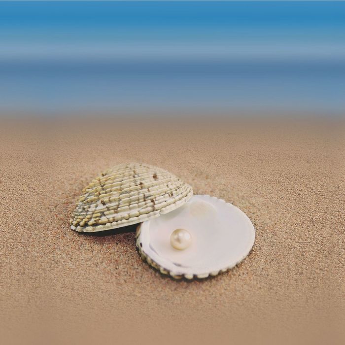 Стеклянный фартук закаленное стекло М1 "Ракушка с жемчужиной", 600х600х4