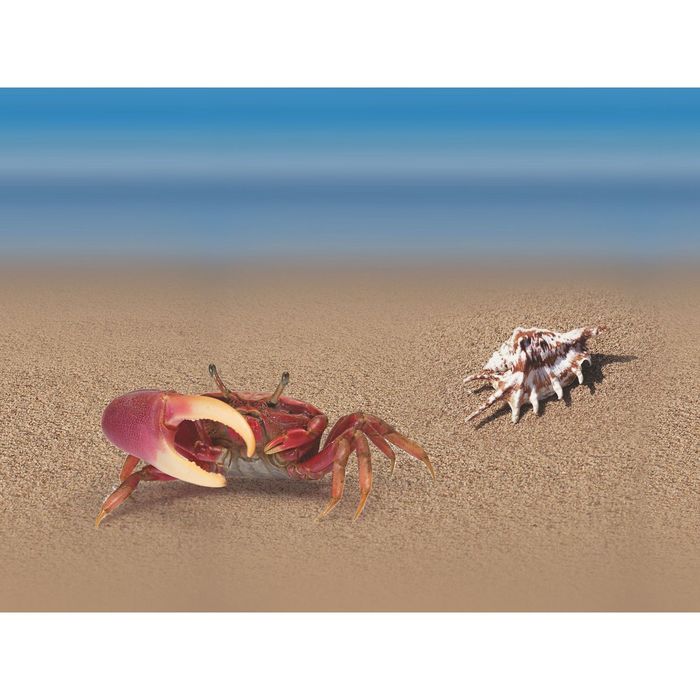 Стеклянный фартук закаленное стекло М1 "Краб", 600х800х4