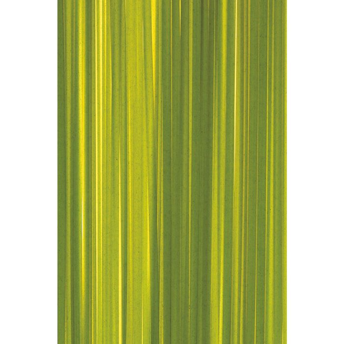 Стеклянный фартук закаленное стекло М1 "Зелень", 600х400х4