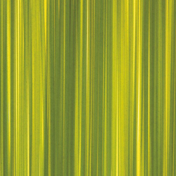 Стеклянный фартук закаленное стекло М1 "Зелень", 600х600х4