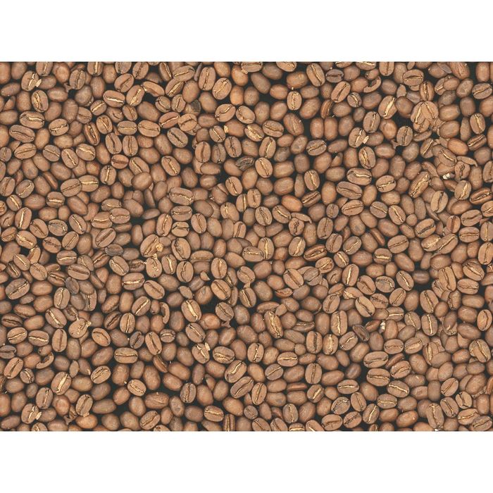 Стеклянный фартук закаленное стекло М1 "Зерно кофе", 600х800х4