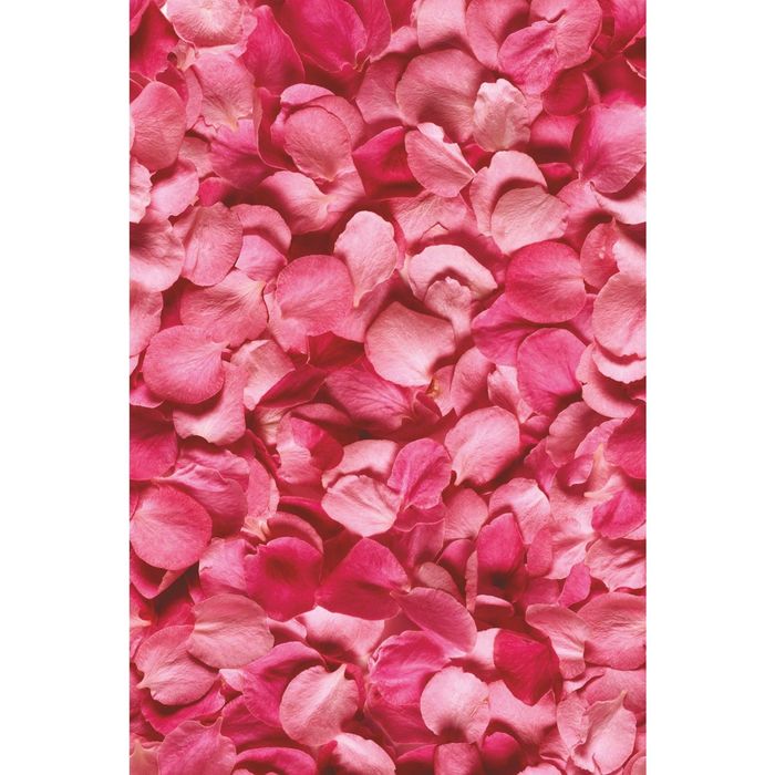 Стеклянный фартук закаленное стекло М1 "Розовые лепестки", 600х400х4