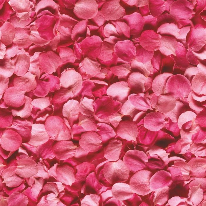 Стеклянный фартук закаленное стекло М1 "Розовые лепестки", 600х600х4