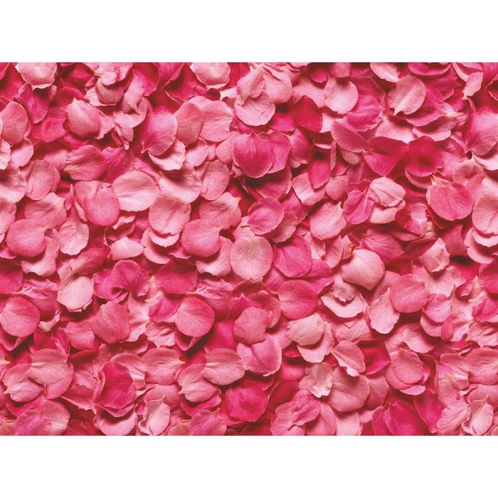 Стеклянный фартук закаленное стекло М1 "Розовые лепестки", 600х800х4