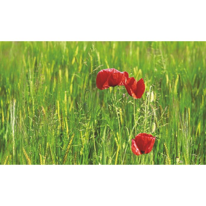 Стеклянный фартук закаленное стекло М1 "Лужайка", 600х1000х4