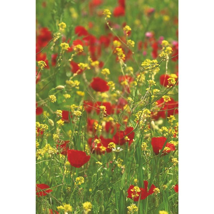 Стеклянный фартук закаленное стекло М1 "Мак", 600х400х4