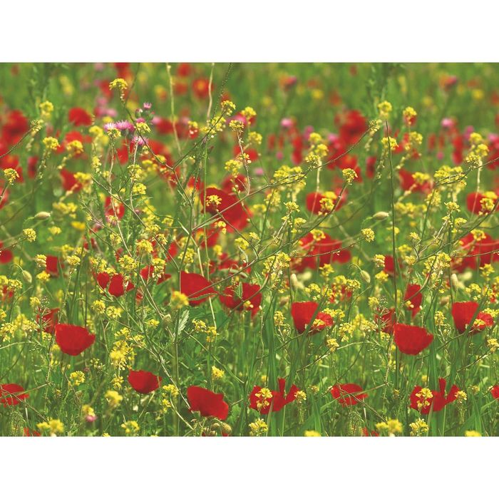 Стеклянный фартук закаленное стекло М1 "Мак", 600х800х4