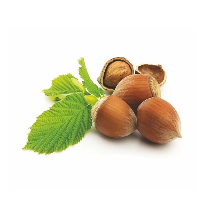 Стеклянный фартук закаленное стекло М1 "Фундук", 600х800х4