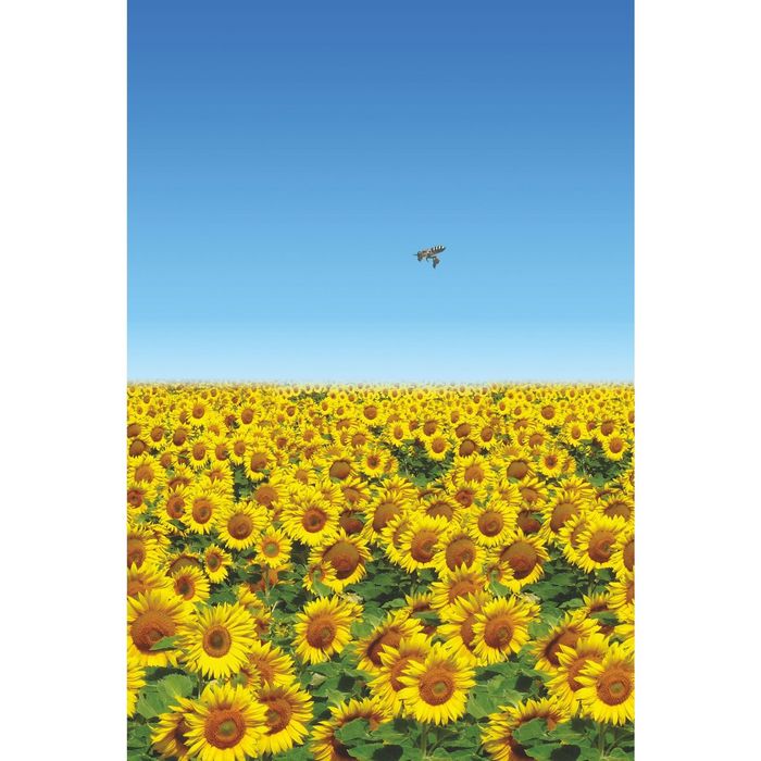 Стеклянный фартук закаленное стекло М1 "Подсолнухи", 600х400х4