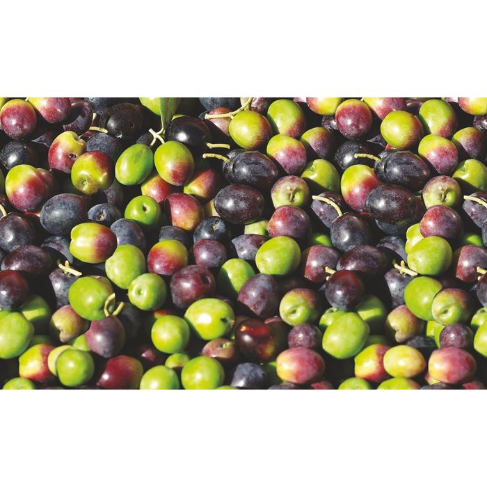 Стеклянный фартук закаленное стекло М1 "Яблоки", 600х1000х4