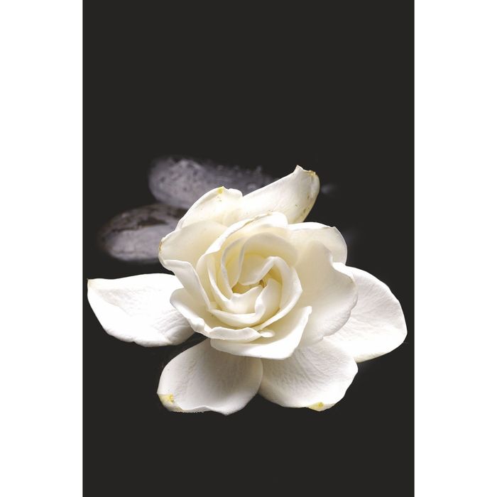 Стеклянный фартук закаленное стекло М1 "Гардения", 600х400х4