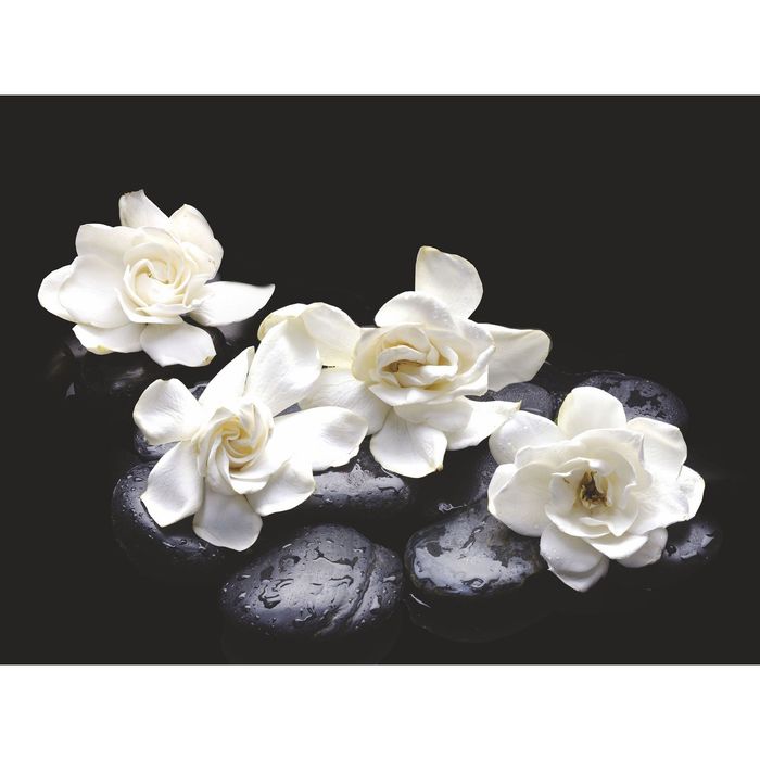 Стеклянный фартук закаленное стекло М1 "Гардения", 600х800х4