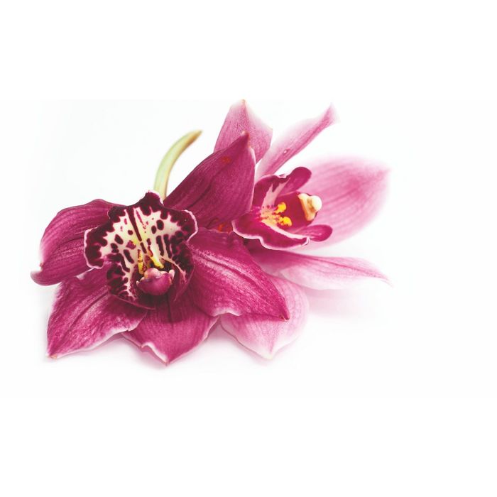 Стеклянный фартук закаленное стекло М1 "Орхидея-2", 600х1000х4