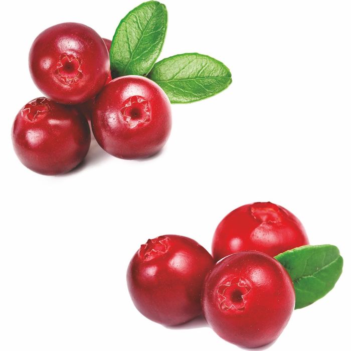 Стеклянный фартук закаленное стекло М1 "Брусника", 600х600х4