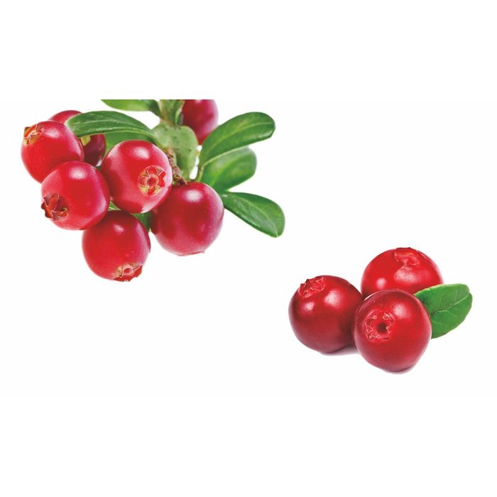 Стеклянный фартук закаленное стекло М1 "Брусника", 600х1000х4