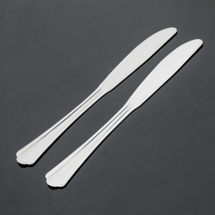 Набор столовых ножей 2 шт "Новинка. Универсал", упрощенная обработка, на подвеске, толщина 1,2 мм