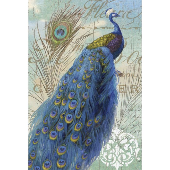 Картина на подрамнике "Золотое перо" павлиний глаз