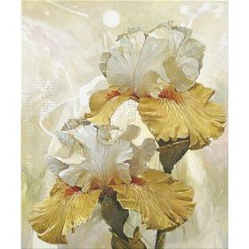 

Картина на холсте Канвас Постер "Романтические ирисы 2" 50/60