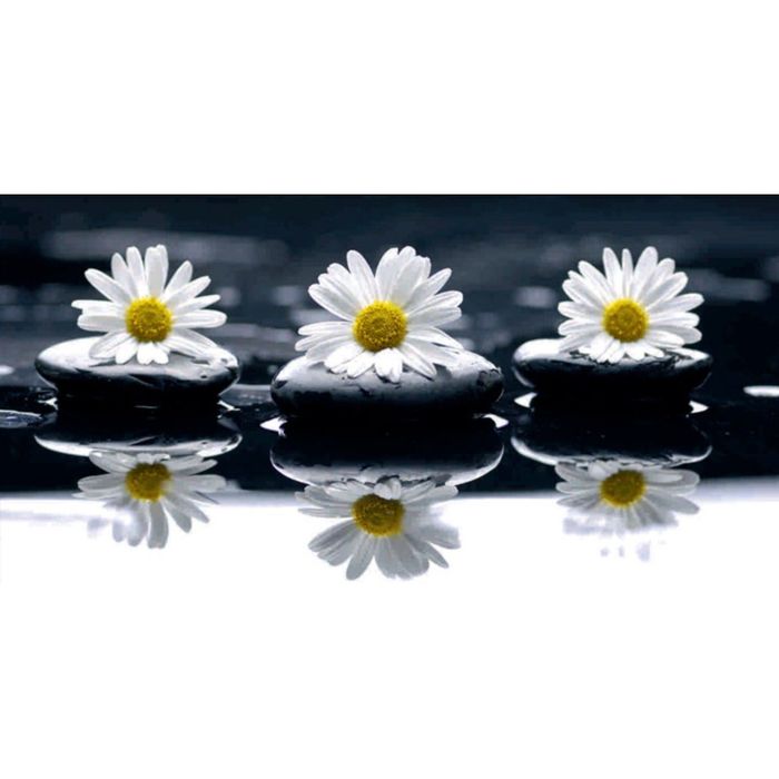 Картина на подрамнике "Маргаритки"