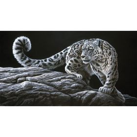 

Картина на холсте Канвас Постер "Снежный барс" 55/100