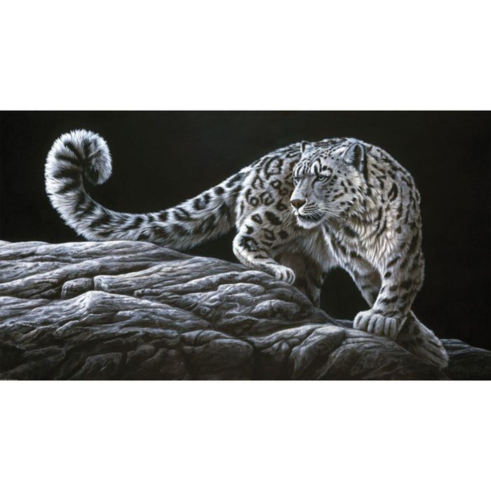 Картина на подрамнике "Снежный барс"
