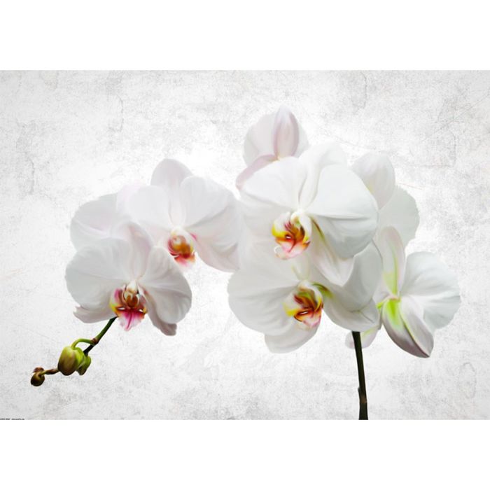 Картина на подрамнике "Снежная орхидея"