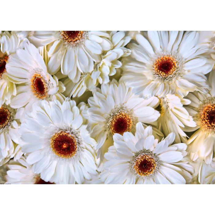 Картина на подрамнике "Россыпь ромашек"