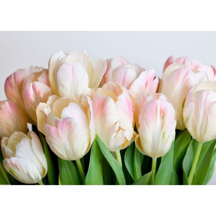 Картина на подрамнике "Розовые тюльпаны"