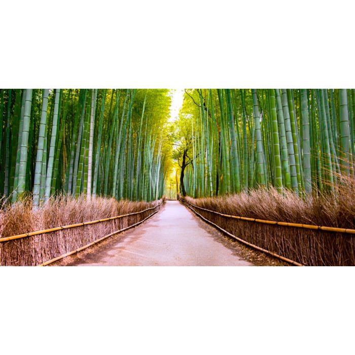 Картина на подрамнике "Бамбуковая роща"