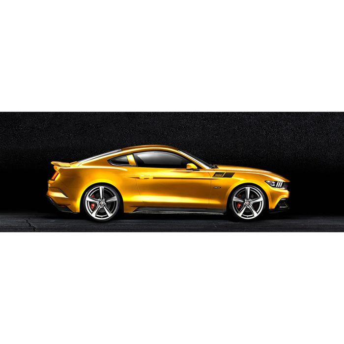 Картина на подрамнике "Мустанг"