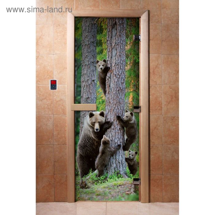 Дверь с фотопечатью, стекло 8 мм, размер коробки 190 × 70 см, правая, цвет А064 дверь с фотопечатью стекло 8 мм размер коробки 190 × 70 см правая цвет а077