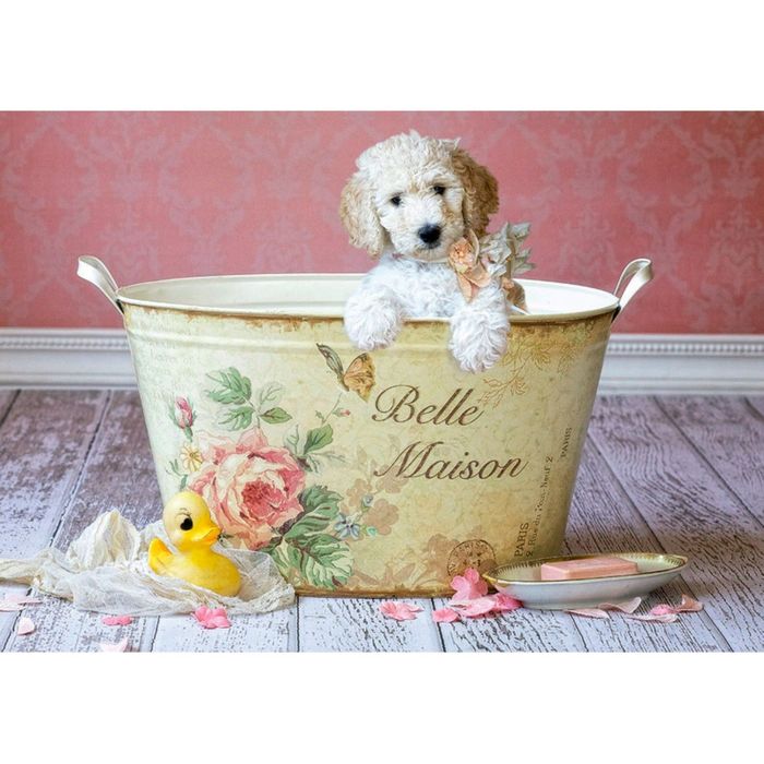 Пазл 500 деталей Бель Мезон, Лиза Джейн