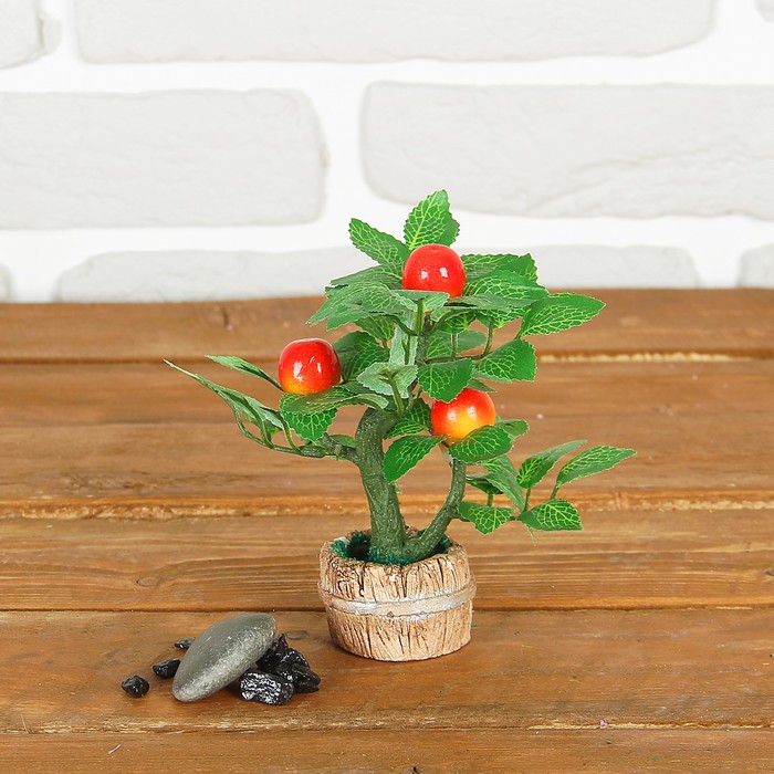 Бонсай "Фрукты в кадушке" 5*5*14 см, микс