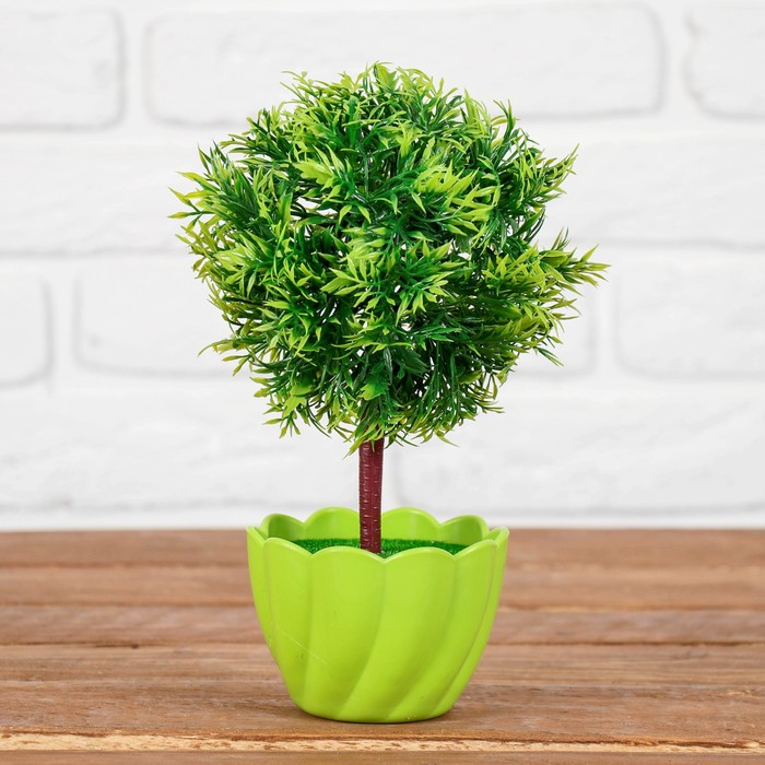 Бонсай "Шар мелкий лист" 10*10*21 см микс