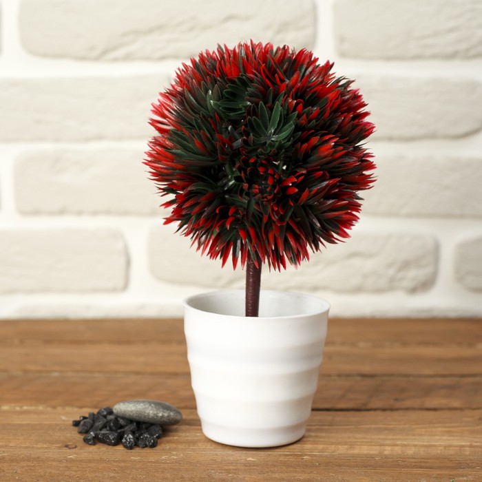 Бонсай "Шар острый лист" 10*10*22 см микс