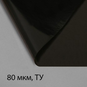 Плёнка полиэтиленовая, техническая, толщина 80 мкм, 3 × 10 м, рукав (1,5 м × 2), чёрная, 2 сорт, Эконом 50 %