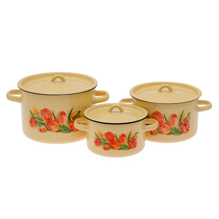 Набор кастрюль "Тюльпаны" 3 предмета: 1,5 л, 2,9 л, 3,9 л