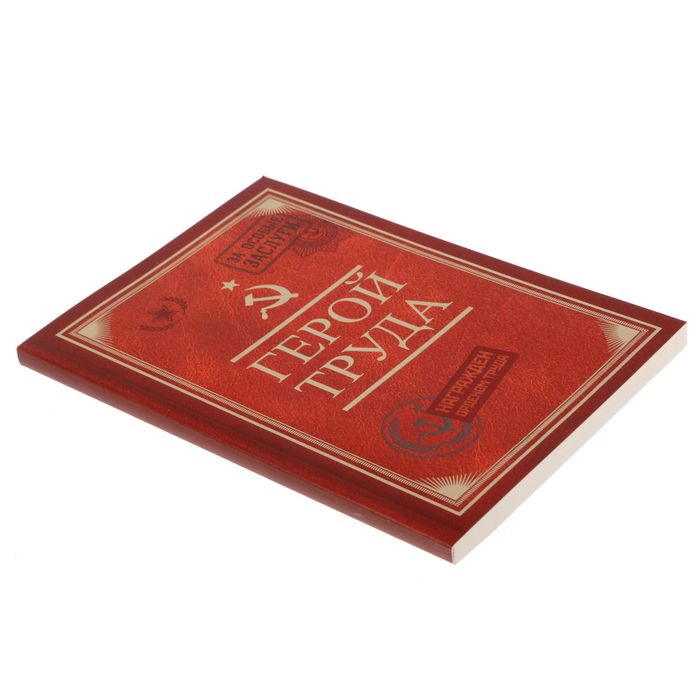 Подарочный набор "А ты записался добровольцем?": ежедневник и ручка