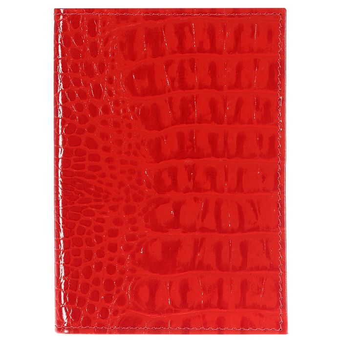 Обложка для автодокументов, цвет красный