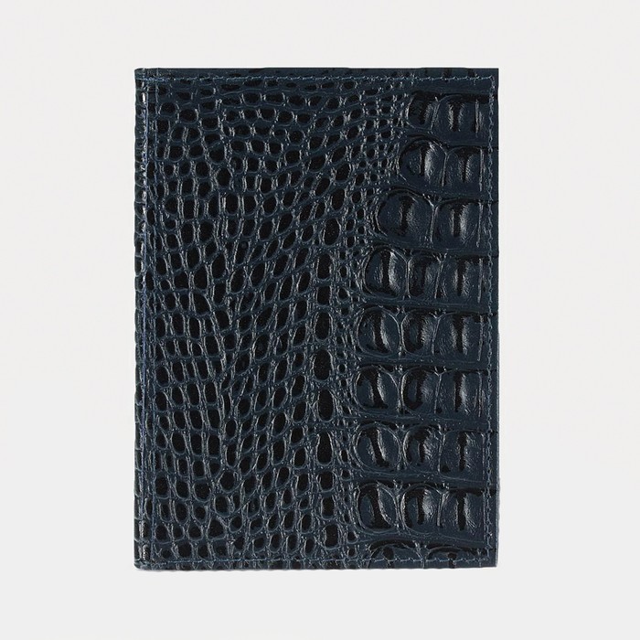 Обложка для автодокументов, отдел для паспорта, цвет синий