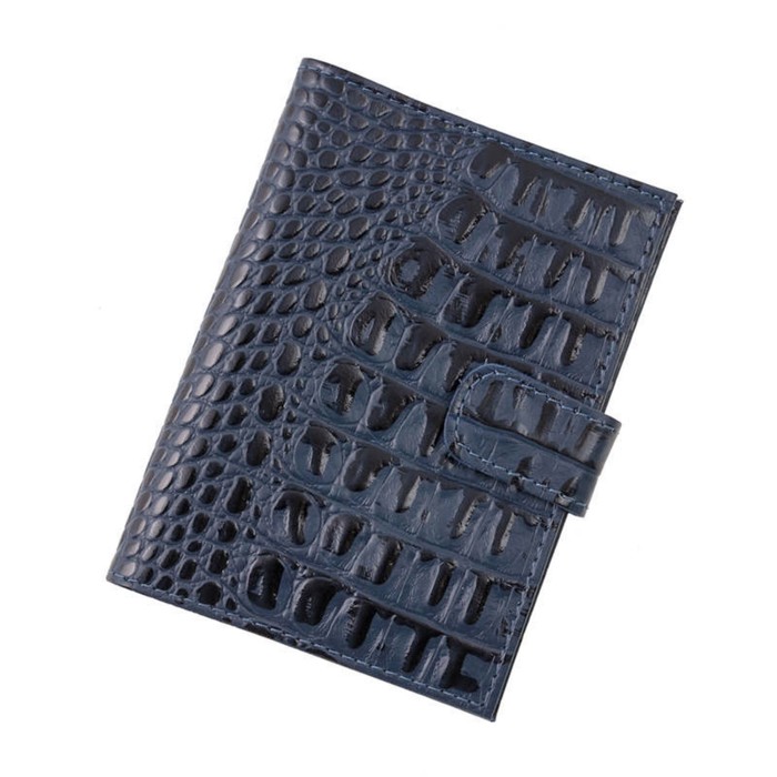 Обложка для автодокументов, цвет синий