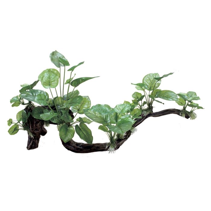 Декоративная композиция "Ветвистая коряга с анубиасом" XXL, 63x20x21 см
