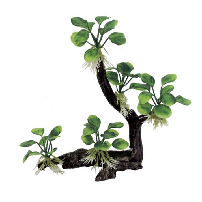 Декоративная композиция "Ветвистая коряга с анубиасом нана" M4, 22,5x8,5x26 см