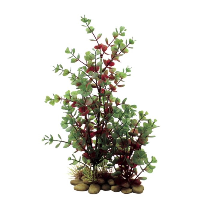 Искусственное растение ArtUniq Bacopa red-green 30 - Бакопа красно-зеленая, 30 см