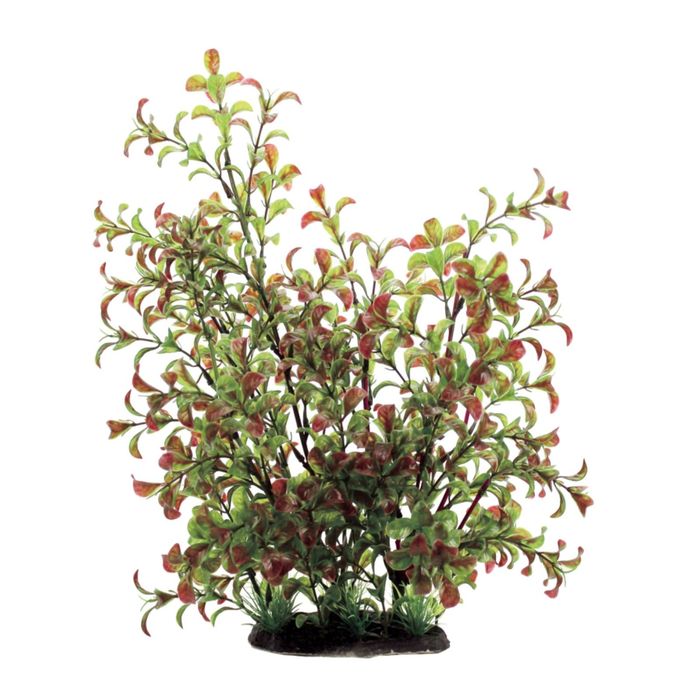 Искусственное растение ArtUniq Ludwigia red-green 35 - Людвигия красно-зеленая, 35 см